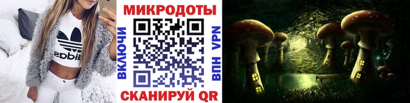 Псилоцибиновые грибы мухоморы  хочу   Туапсе 
